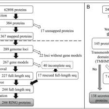 So fragt man sich in münchens bester gesellschaft. Pdf Secretory Ring Finger Proteins Function As Effectors In A Grapevine Galling Insect