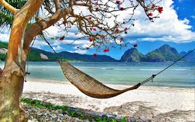 Find hd wallpapers for your desktop, mac, windows, apple, iphone or android device. Tropical Relax On Beach Wallpaper Other Wallpaper Better
