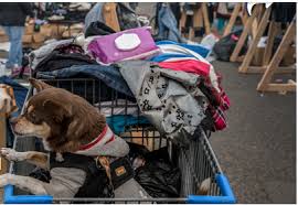 The sacramento bee, sacramento, ca. Camp Fire Evacuees At Walmart Parking Lot Ordered To Leave With Their Pets Pet Rescue Report