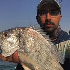 صديق الصفحة جوزف...