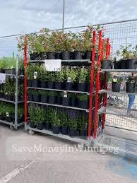 The garden centre is finally open in costco warehouses in most of canada! Costco Garden Centre Laptrinhx News