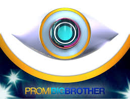 In den neuen folgen ist jochen schropp als moderator zu sehen. Promi Big Brother 4 Big Brother Wiki Fandom