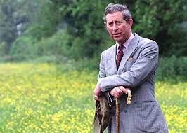 Inside prince charles's romanian guesthouse. Printul Charles Romania Google Search Prince Charles Prince Of Wales British Monarchy History