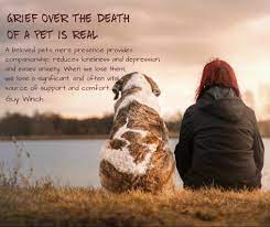 Maybe you would like to learn more about one of these? Grieving A Pet Conexus Counselling Winnipeg Manitoba