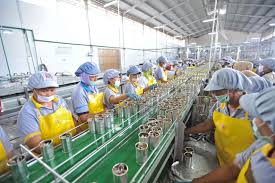 Check spelling or type a new query. Facility Sari Laut Jaya Sardines Cannery Pengalengan Sarden Indonesia