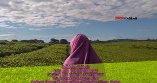 Berbagai contoh penerapan perilaku adil, antara lain : Berlaku Adil Dan Tidak Zalim Terhadap Peserta Didik Oborkeadilan Com