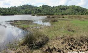 Legenda naga tasik chini sudah bergelumang dalam budaya kita sejak dari dulu sehingga hari ini. Pahang Warta Tasik Chini Sebagai Taman Negeri Malaysiakini