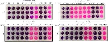Cette autorisation est ?galement requise durant les six premiers mois suivant l'expiration du mandat de d?l?gu? Chemical Warfare Between Leafcutter Ant Symbionts And A Co Evolved Pathogen Nature Communications