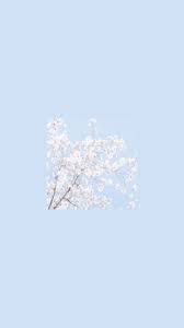 Maybe you would like to learn more about one of these? Aesthetic Colors Wallpapers Wallpaper Cave
