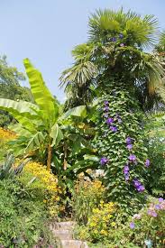 Le Jardin Botanique De Bayonne France Jardineria Jardines Primavera