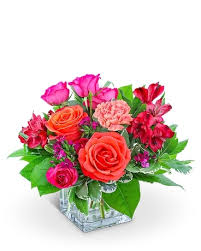 Birthday, love and romance, sympathy, get well, congratulations Middletown Florist Flower Delivery By Armbruster Florist Inc
