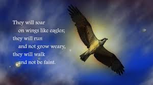 Image result for Soar Like An Eagle!