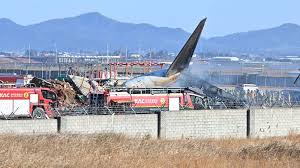 Plane With 181 People, Catches Fire During Landing At South Korea Airport |  Video | World News | Zee News