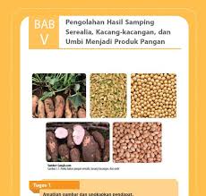 Kelas viii prakarya bs sem 1.pdf. Rangkuman Materi Prakarya Kelas 8 Bab 10 Portal Edukasi
