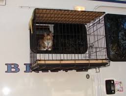 You can do this by giving your cat a treat puzzle just before you go, so it won't see you leaving. Living With Cats While Full Timing In An Rv Rv Life Military Style Rv Pet Cat Cages Living With Cats