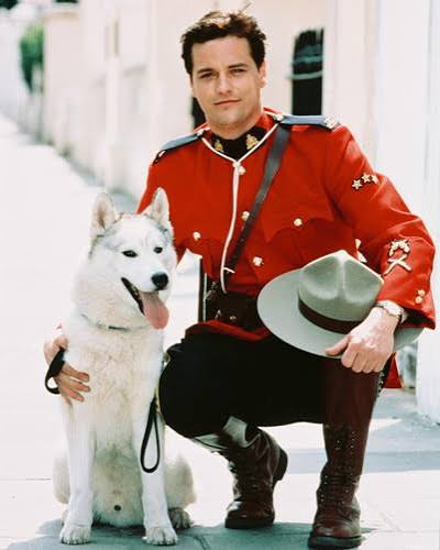 Paul Gross Due South Posters and Photos 240462 | Movie Store