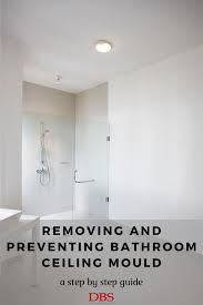 How To Remove And Prevent Bathroom Ceiling Mould In 2020 Mold On Bathroom Ceiling Mold In Bathroom Bathroom Cleaning Hacks