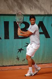Fernando verdasco is a professional tennis player from spain. Fernando Verdasco Wikiwand
