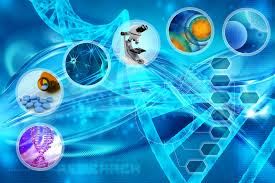 Discover 1545 free science png images with transparent backgrounds. Science Saved Scientific Analysis Vitalises Enterprise Development Scientific Analysis Vitalises Enterprise Development
