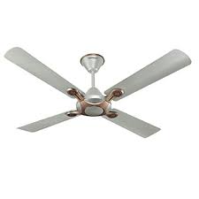 Designer ceiling fans, decorative ceiling fans and stylish ceiling fans from fanzart. Buy Havells Leganza 4 Blade 1200mm Ceiling Fan Bronze Gold Online At Low Prices In India Amazon In
