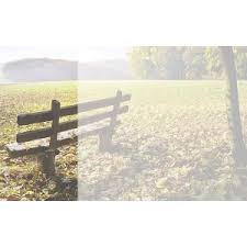 The bank was founded in 1851, making it one of the oldest banks in denmark, and provides mortgages, retail, and investment banking services. Serie Bank