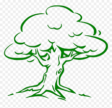 Drawing Images Of Mango Tree Hd Png Download Vhv Mango tree clipartjpg clipart free clipart.