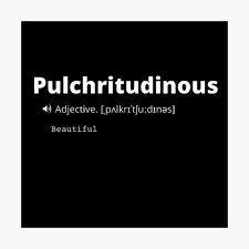 Pulchritudinous Definition 
