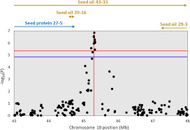 Genome Wide Association Study Of Seed Protein Oil And Amino