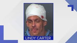 K-9 deputy bites wanted man in the head after botched drug deal, Hernando  deputies say