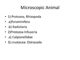 Radiolaria
