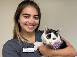 VCA Cat Hospital of Philadelphia