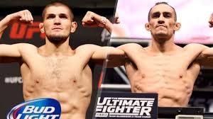 Nurmagomedov Vs Ferguson Headlines Fox Ufc Fight Night In Tampa Ufc Fight Night Ufc Rashad Evans