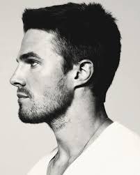 Rate Steven Amell (arrow actor)