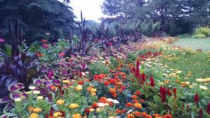 Blossomflowerdelivery.com has been visited by 10k+ users in the past month Mccrory Gardens Travel South Dakota