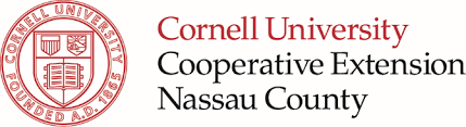 CCE NASSAU COUNTY STRATEGIC PLAN