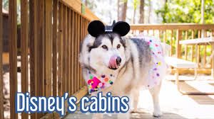Are the cabins at fort wilderness pet friendly. Disney Pet Friendly Resort Fort Wilderness Day 1 Youtube