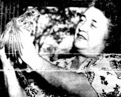 What's Cookin' at Metcalfe Court?