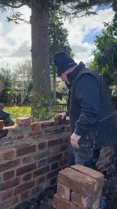 Lime Green Video Shorts: How to...