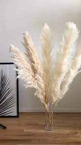 This Pampas Grass Is So Golden And Soft Grass Decor Pampas Grass Decor Pampas Grass
