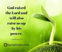 Easter is the celebration of francis okumu, easter destiny quotes. 22 Easter Bible Verses For A Sunday Of Redemption Sayingimages Com