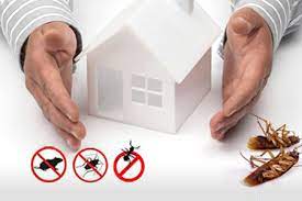 Safe guard termite pest control. General Pest Control Pest Infestation Safe Pest Control Infestations