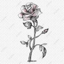 رسم وردة الورد الورود مرسومة باليد الوردة png وملف psd للتحميل مجانا in 2021 rose sketch flower tattoo rose