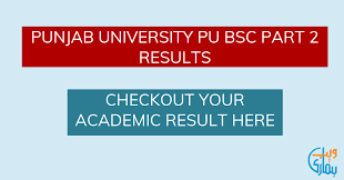 Bsc part 2 result 2021. Pu Bsc Part 2 Result 2021 Punjab University Ba Results