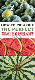 How To Pick Out The Perfect Watermelon Watermelon Cooking Tips Fruit And Veg