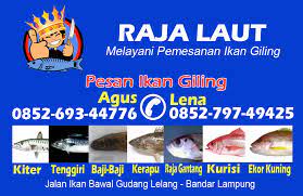 Terjemahan frasa ikan segar dari bahasa indonesia ke bahasa inggris dan contoh penggunaan ikan segar dalam kalimat dengan terjemahannya: Banner Design Dll Luckynetprint