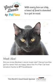 Pin By Petflow On Petflow Good Deeds Cat Food Purina Food Donation