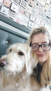 Has your lab started their first heat cycle?