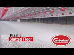 Cumberland Slatted Floor Youtube In 2020 Poultry House Poultry Farm Plastic Design