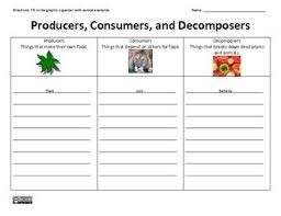 Producers Consumers Decomposers Graphic Organizer Graphic Organizers Producers Consumers Decomposers Science