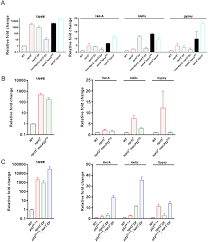 The Gator Complex Regulates An Essential Response To Meiotic